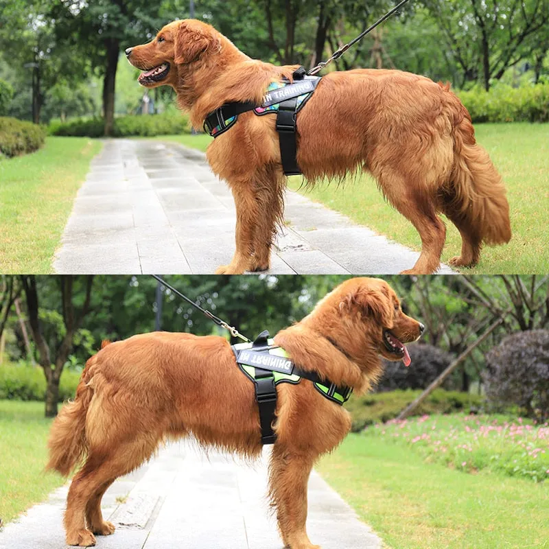 Adjustable Nylon Dog Harness Personalized Harness For Dogs Reflective Vest No Pull